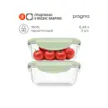 Набор из 2-х пластиковых контейнеров для хранения продуктов Pragma Luvold, салатовые