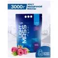Гейнер 2-компонентная матрица из углеводов с разной скоростью усвоения Light Mass 3000 гр (R-Line Sport Nutrition) Малина