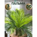 Искусственная финиковая пальма декоративное растение без кашпо 3 шт