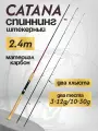 Спиннинг штекерный два хлыста CATANA 3-12/10-30 2.4м