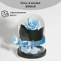 Стабилизированные цветы в стекле, Роза в колбе живая Bella голубая, GIFT4YOU