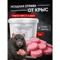 Тестокс Какао-Ванильный, отравленная приманка для мышей, крыс, 1кг
