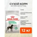 Корм сухой Royal Canin Maxi Digestive Care для взрослых собак крупных пород для поддержания здоровья пищеварительной системы, 12 кг