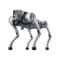 Unitree Go2 Robot Dog