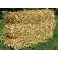 Пшеничная Солома союзная 17 кг в тюке Заготовка свежая