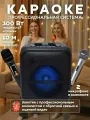 Караоке система, колонка с двумя микрофонами, портативная и мощная