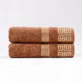 Комплект Полотенец Махровых Luisa de Rizzo Greek pattern Brown Махра 70х130 Кол-во 2 шт.