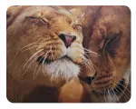 Коврик для мыши Buro BU-M40030 (S) рисунок/лев, PVC, 230х180х2мм