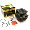 Поршневая группа для мотокос 43 куб. см IGP, 1700010