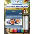 Карандаши цветные художественные Гамма Студия, 24 цвета, заточенные, картонная упаковка
