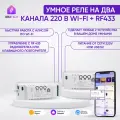 Умное реле Wi-Fi+RF на 2 канала, контроллер, 85-265V, 10А, с сухим контактом, в корпусе