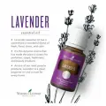 Янг Ливинг Эфирное масло Лаванда/ Young Iiving Lavender Essential Oil, 15 мл