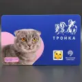Коллекционная транспортная карта Тройка - Проект Хвосты и лапки. Кот Багратион