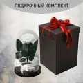 Стабилизированные цветы в стекле, Роза в колбе живая Премиум белая 27x16,5 см c подарочной коробкой, GIFT4YOU