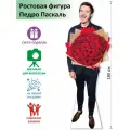 Педро Паскаль 5 Ростовая фигура, Гофрокартон, (Print100.ru),