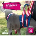 Полная поддержка для собак. Ходунки для собак, пожилых и травмированных. Размер S.