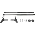 Газовые упоры капота АвтоУпор для Ford Focus II 2005-2008, 2 шт, UFDFOC012