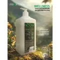 Регенерирующий ( восстанавливающий ) крем PRIMATERRA WELLNESS для кожи рук и лица, 1000 мл.