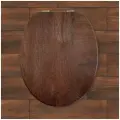 Сиденье для унитаза деревянное Molinardi Creativo , МДФ, овальное, Орех тёмный
