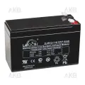 Аккумулятор Leoch DJW12-7,0 F2