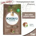 Сухой корм для собак Forza10 Maintenance всех средних пород ягненок /рис / 12 кг