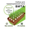 Лоток для выращивания лука и чеснока 21 ячейка