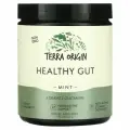 Terra Origin, Healthy Gut, вкус мяты, 222 г