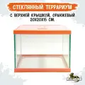 MCLANZOO Террариум стеклянный с верхней крышкой, оранжевый, 20х20хН15см (8621028)