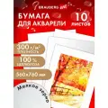 Бумага для акварели, гуаши / акварельная бумага художественная для рисования 300 г/м2 560x760 мм мелкое зерно, 10 листов, Brauberg Art Premiere, 113237