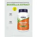 Now Foods Boswellia Extract 500 mg, Экстракт босвеллии 90 капсул