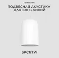 CVGAUDIO SPC6TW Подвесной широкополосный громкоговоритель для систем Public Address