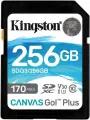 1шт. Карта памяти 256GB Sdxc Canvas Go Plus 170R C10 Uhs-i