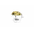 Воблер LJ Pro Series Haira Tiny Shallow Pilot Crank 33F 4.0г Загл. до 0.2м #505