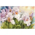 Алиса Набор для вышивания крестиком Белые ирисы (2-36), разноцветный, 40 х 27 см