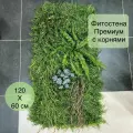 Фитостена декоративная модульная из луговых трав, вертикальное озеленение в размере 120х60 см