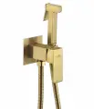 Смеситель с гигиеническим душем, лейкой, настенный D-LIN из латуни
