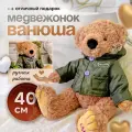 Мишка плюшевый SHARKTOYS Mr. Тим Ванюша, 40 см, в ветровке
