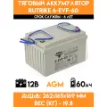 Тяговый аккумулятор RuTrike 6-EVF-60 (12V60A/H C3)