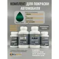Комплект для покраски CITROEN, код AC9343, KSN, VERT ISSAMBRE, базовая автомобильная эмаль 250 мл, лак 2K 250 мл с отвердителем, разбавитель 125 мл, FixPaint Pro
