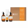 Insight / Набор ANTIOXIDANT для защиты и омоложения волос (шампунь 350мл, маска 200мл, кондиционер 350мл)