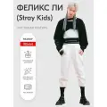 Аксессуар для фотосессий, Феликс Ли (Stray Kids) 3 ростовая фигура