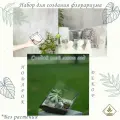 Набор для создания флорариума: форма Скошенный квадрат S, небольшой