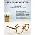 Очки для компьютера LECTIO RISUS LRC003-2 имиджевые защитные