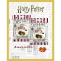 Драже жевательное Jelly Belly ассорти Bertie Bott's Гарри Поттер, 2 шт по 54 г