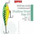 Shallow Shad Rap SSR09
