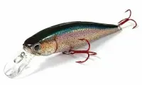 Вoблер Lucky Craft POINTER 100SP-144 Bloody MS American Shad