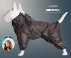 Комбинезон-дождевик для бассета кобеля, повышенной прочности, цвет серый