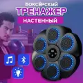 Боксерский тренажер настенный