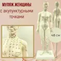 Муляж человека для акупунктуры с меридианами женский, Синофарм
