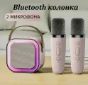 Детская караоке система/Мини караоке Bluetooth колонка с 2 микрофонами (розовый)